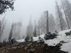Foggy morning in Yosemite